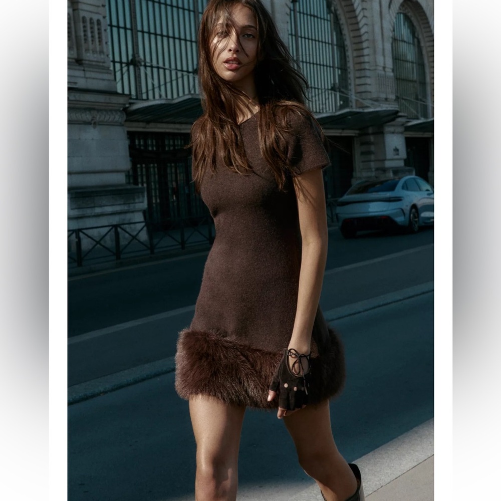 Zara FAUX FUR KNIT DRESS